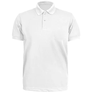 Gildan Premium Polo Shirt